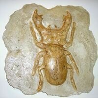 каменная фреска с выпуклым изображением жука оленя - символом энергии и силы